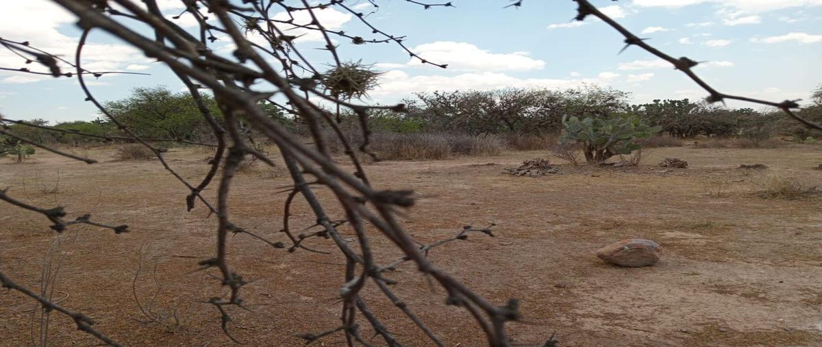 Foto de terreno habitacional en avenida chihuahua , san marcos carmona, mexquitic de carmona, san luis potosí, 26452190 foto 02 Foto de terreno habitacional en venta en avenida chihuahua , san marcos carmona, mexquitic de carmona, san luis potosí, 26452190 No. 02