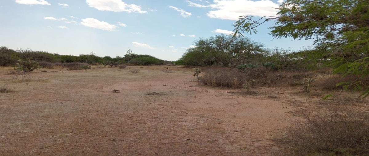 Foto de terreno habitacional en avenida chihuahua , san marcos carmona, mexquitic de carmona, san luis potosí, 26452190 foto 04 Foto de terreno habitacional en venta en avenida chihuahua , san marcos carmona, mexquitic de carmona, san luis potosí, 26452190 No. 04