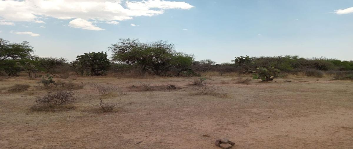 Foto de terreno habitacional en avenida chihuahua , san marcos carmona, mexquitic de carmona, san luis potosí, 26452190 foto 05 Foto de terreno habitacional en venta en avenida chihuahua , san marcos carmona, mexquitic de carmona, san luis potosí, 26452190 No. 05