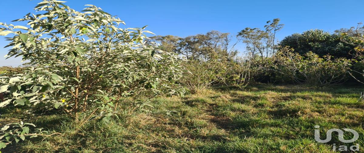 Foto de terreno habitacional en venta en avenida cipreses , las ánimas (ex-hacienda las ánimas), naucalpan de juárez, méxico, 29558317 No. 03
