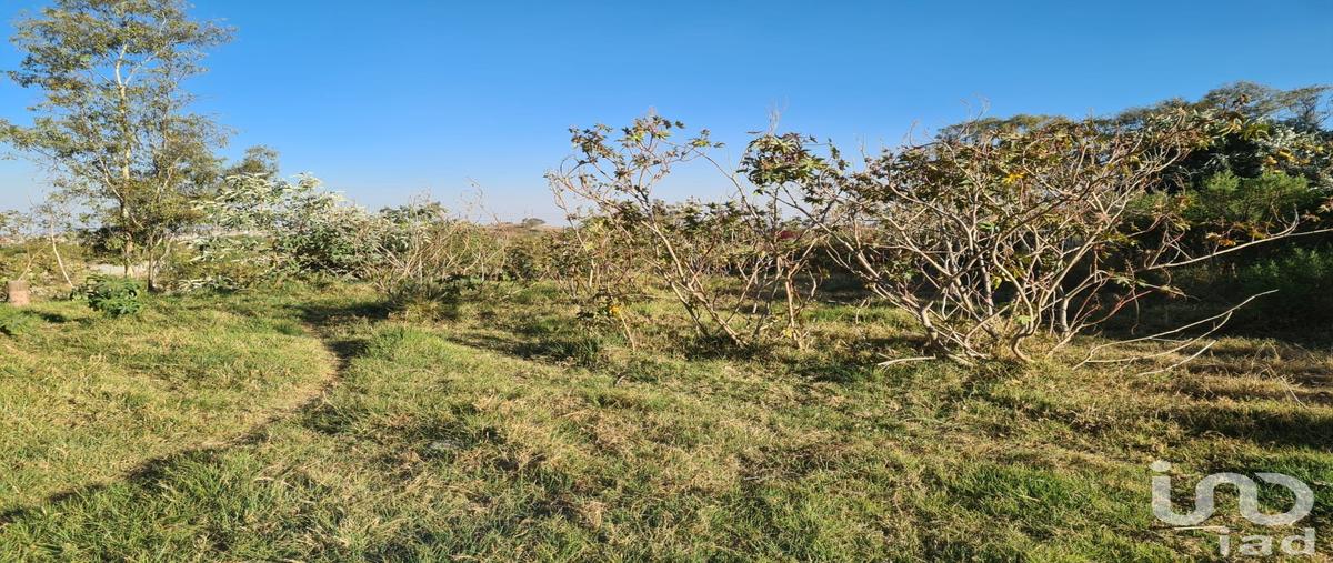 Foto de terreno habitacional en venta en avenida cipreses , las ánimas (ex-hacienda las ánimas), naucalpan de juárez, méxico, 29558317 No. 04