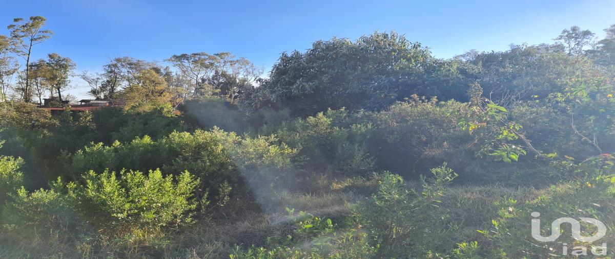 Foto de terreno habitacional en venta en avenida cipreses , las ánimas (ex-hacienda las ánimas), naucalpan de juárez, méxico, 29558317 No. 05