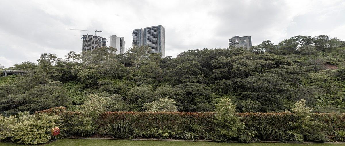 Foto de departamento en venta en avenida club de golf lomas , country club, naucalpan de juárez, méxico, 31042230 No. 14