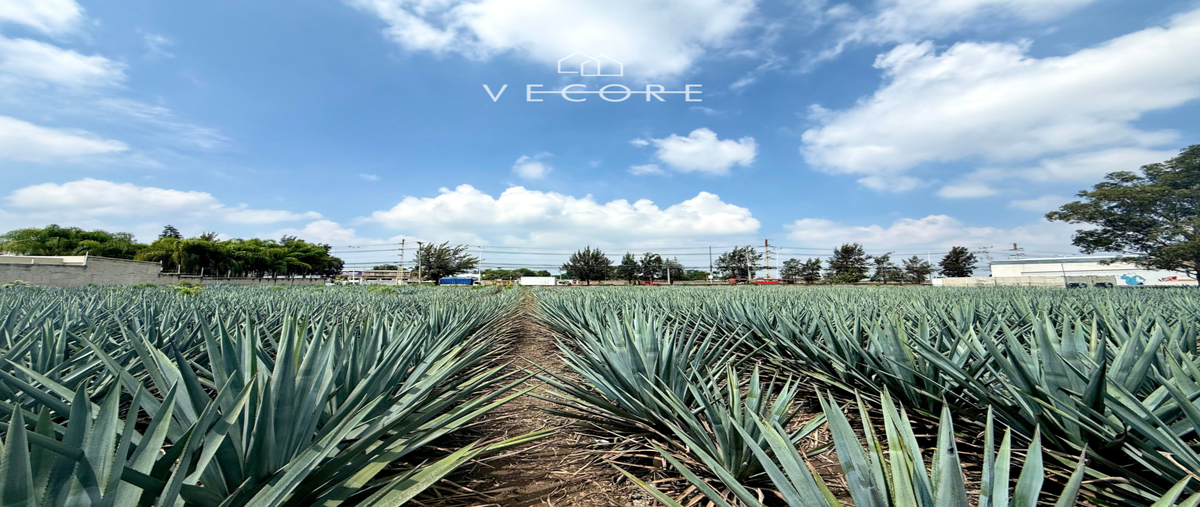 Foto de terreno habitacional en venta en avenida club de golf sur lote 14 y lote 16 , club de golf atlas, el salto, jalisco, 30104627 No. 03