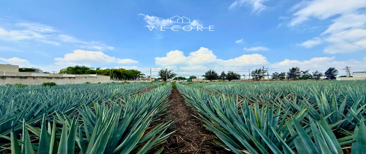 Foto de terreno habitacional en venta en avenida club de golf sur lote 14 y lote 16 , club de golf atlas, el salto, jalisco, 30104627 No. 04