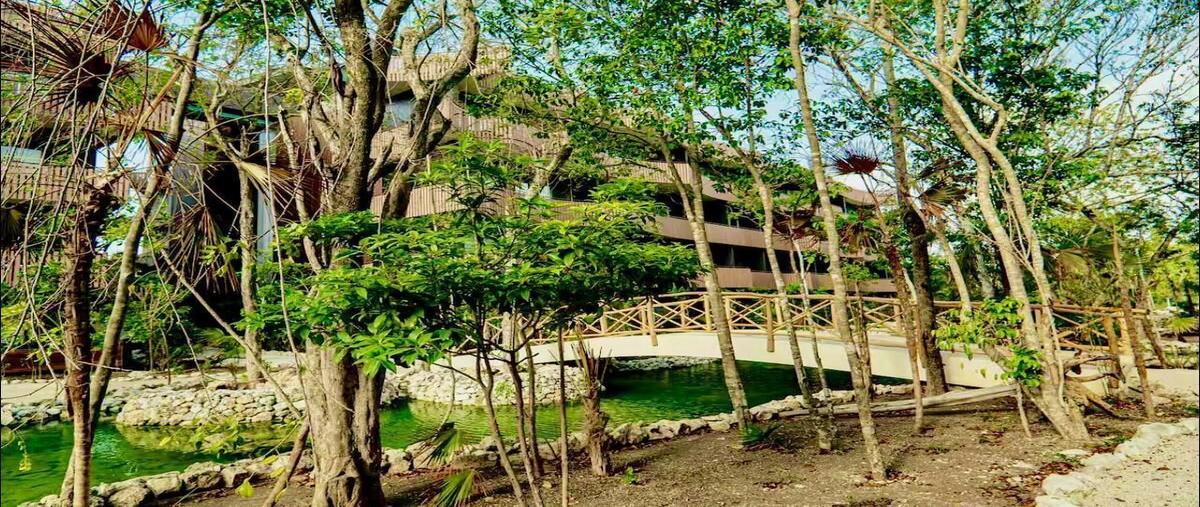 Foto de departamento en avenida coba , coba, tulum, quintana roo, 0 foto 02 Foto de departamento en venta en avenida coba , coba, tulum, quintana roo, 0 No. 02