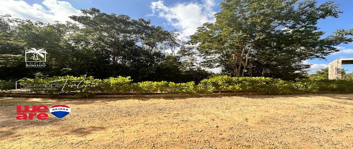 Foto de terreno comercial en venta en avenida coba , guerra de castas, tulum, quintana roo, 29062679 No. 05