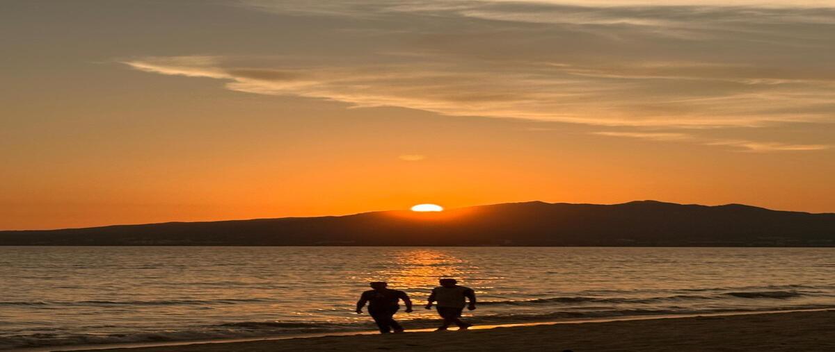 Foto de departamento en venta en avenida cocoteros , nuevo vallarta, bahía de banderas, nayarit, 0 No. 05