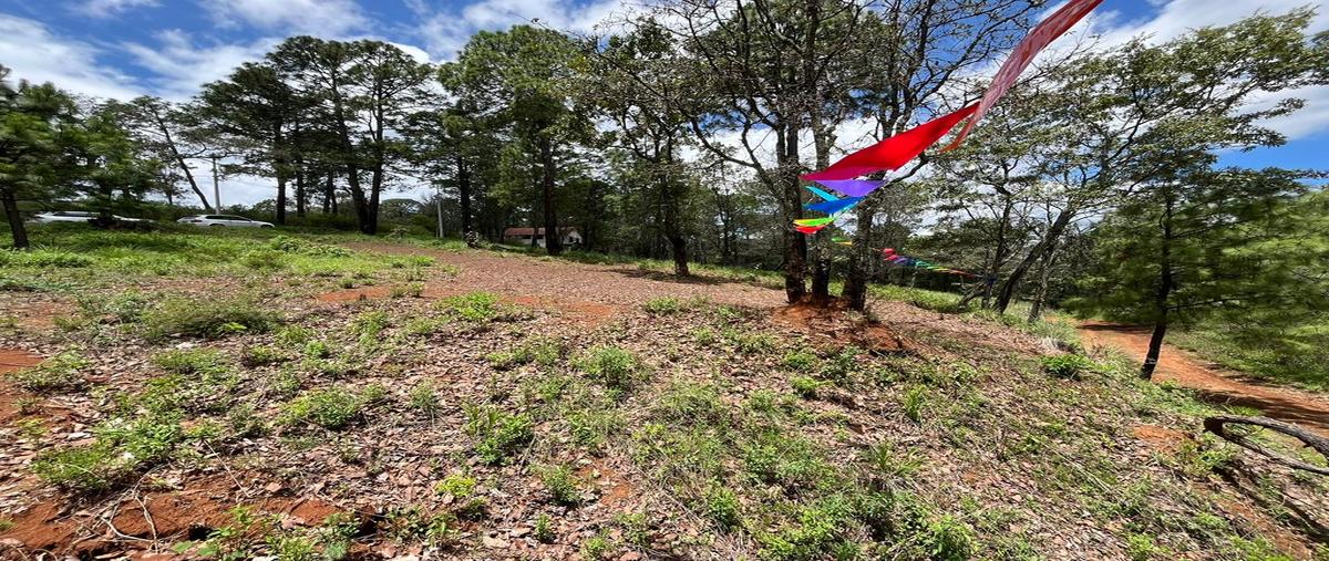 Foto de terreno habitacional en venta en avenida conalep 800, mazamitla, mazamitla, jalisco, 28486643 No. 04