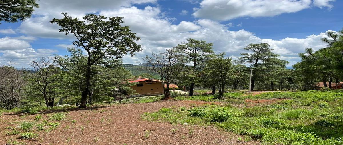Foto de terreno habitacional en venta en avenida conalep 800, mazamitla, mazamitla, jalisco, 28487136 No. 03