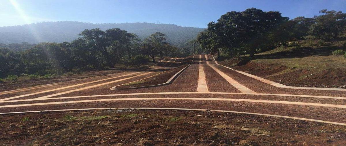 Foto de terreno habitacional en venta en avenida conalep , la cofradia, mazamitla, jalisco, 0 No. 03