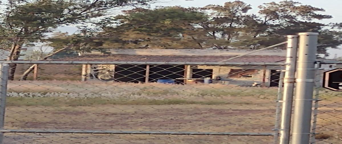 Foto de terreno habitacional en venta en avenida concepción del valle , concepción del valle, tlajomulco de zúñiga, jalisco, 0 No. 05