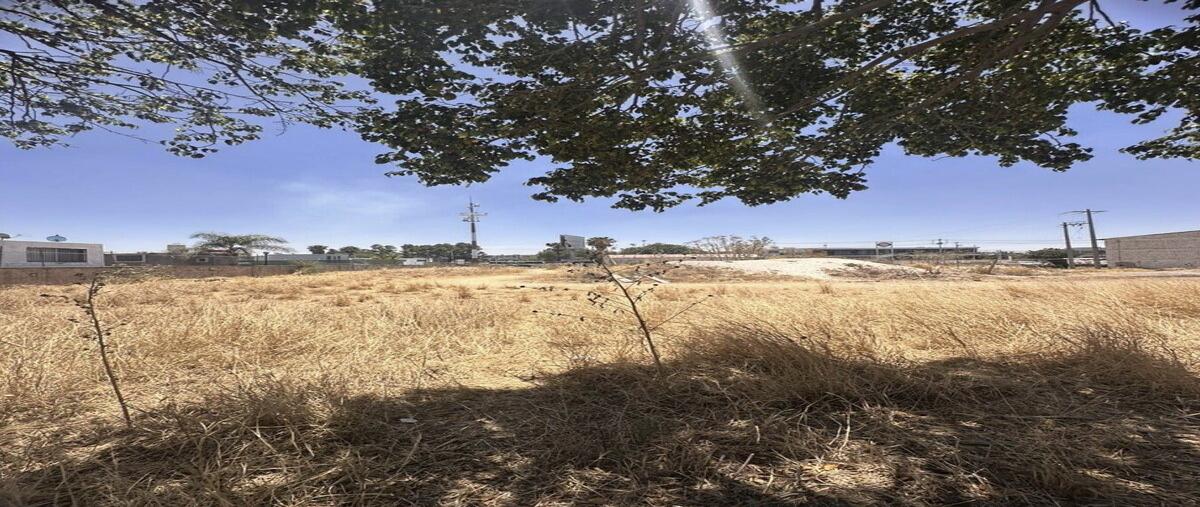 Foto de terreno industrial en avenida concepcion , santa cruz del valle, tlajomulco de zúñiga, jalisco, 0 foto 04 Foto de terreno industrial en venta en avenida concepcion , santa cruz del valle, tlajomulco de zúñiga, jalisco, 0 No. 04