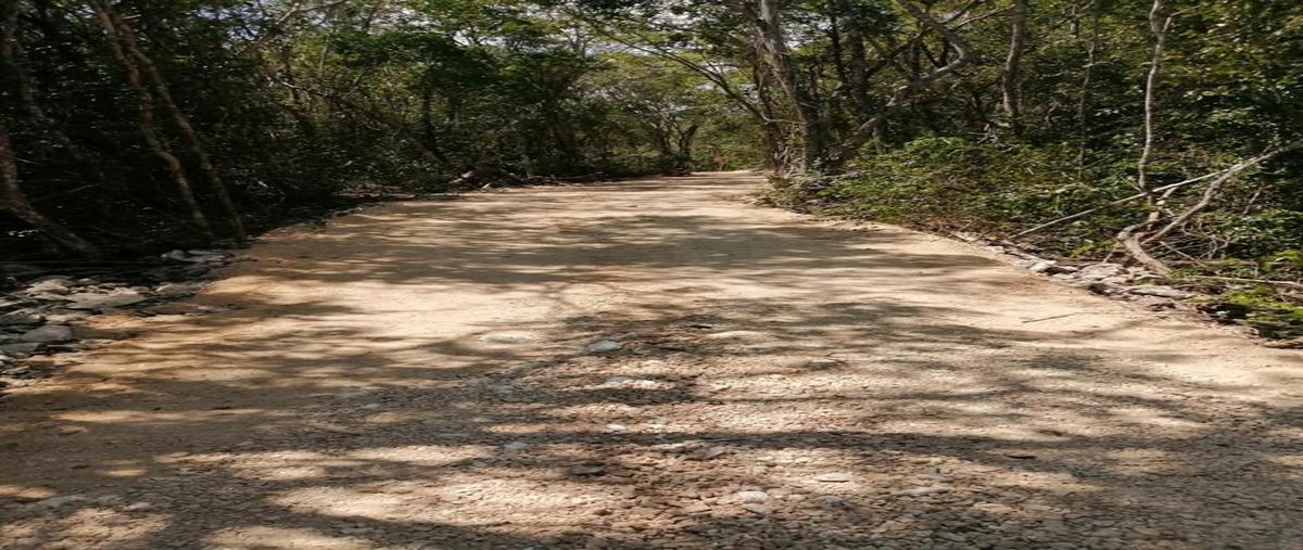 Foto de terreno habitacional en avenida conquistadores , francisco uh-may, tulum, quintana roo, 28265875 foto 05 Foto de terreno habitacional en venta en avenida conquistadores , francisco uh-may, tulum, quintana roo, 28265875 No. 05