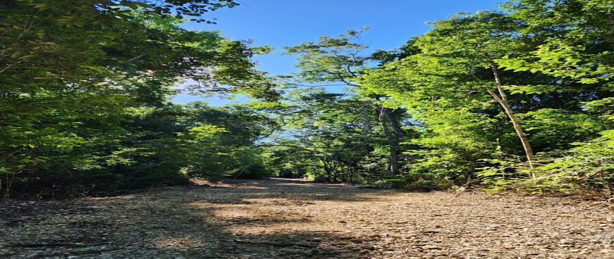 Foto de terreno habitacional en venta en avenida conquistadores , francisco uh-may, tulum, quintana roo, 0 No. 04