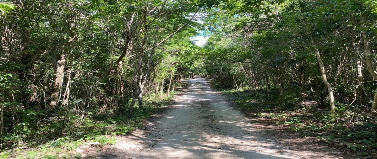 Foto de terreno habitacional en venta en avenida conquistadores , francisco uh-may, tulum, quintana roo, 0 No. 04