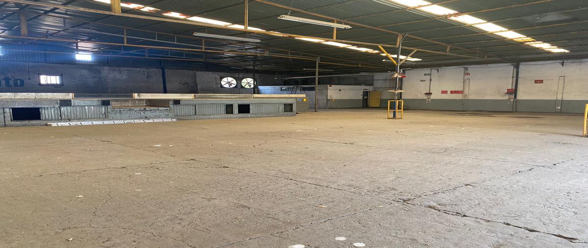 Foto de bodega en venta en avenida constituyentes , el pueblito centro, corregidora, querétaro, 30830135 No. 05