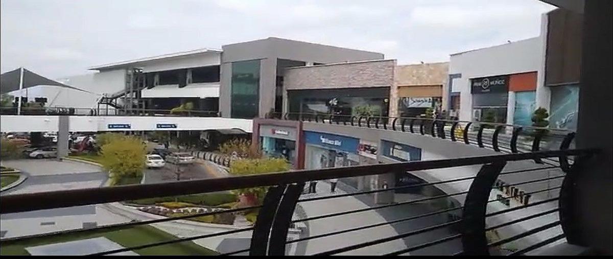 Foto de local en renta en avenida constituyentes , el pueblito, corregidora, querétaro, 31003423 No. 05