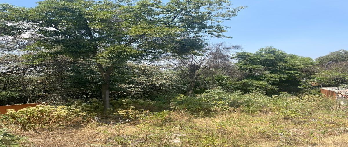 Foto de terreno habitacional en venta en avenida constituyentes , lomas altas, miguel hidalgo, df / cdmx, 29213670 No. 04