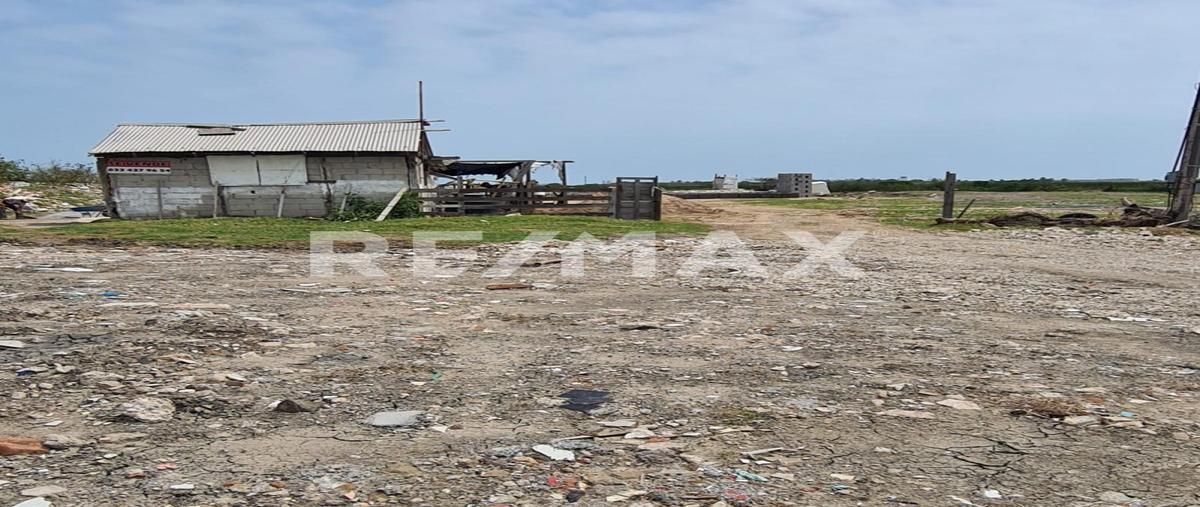 Foto de terreno habitacional en venta en avenida cuauhtemoc , adriana gonzález hernández, ciudad madero, tamaulipas, 26250413 No. 01