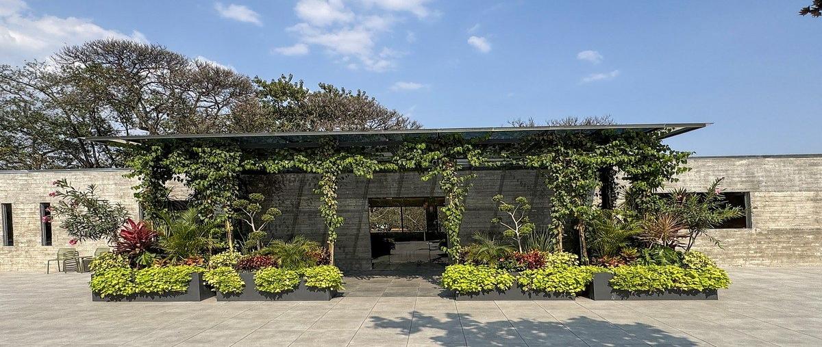 Foto de departamento en avenida cuauhtémoc , lomas del mirador, cuernavaca, morelos, 0 foto 06 Foto de departamento en renta en avenida cuauhtémoc , lomas del mirador, cuernavaca, morelos, 0 No. 06