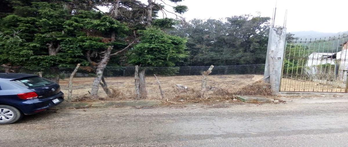 Foto de terreno habitacional en venta en avenida daniel sarmiento rojas 62 , los alcanfores, san cristóbal de las casas, chiapas, 11675039 No. 05