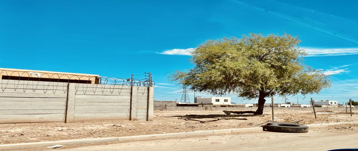 Foto de terreno habitacional en venta en avenida datilillo , laguna campestre, mexicali, baja california, 0 No. 05