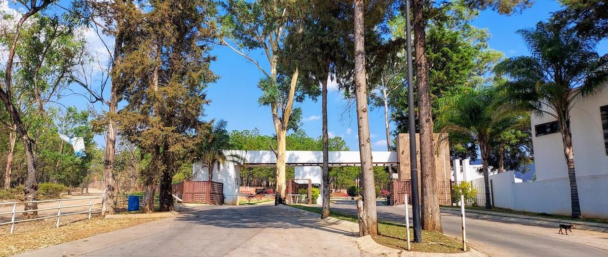 Foto de terreno habitacional en venta en avenida de la presa esquina con junco , bosques de la presa, morelia, michoacán de ocampo, 0 No. 05