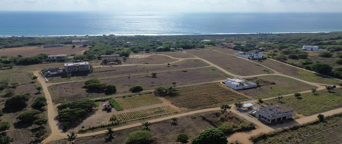 Foto de terreno habitacional en venta en avenida de la santisima cruz del mar , brisas de zicatela, santa maría colotepec, oaxaca, 0 No. 03