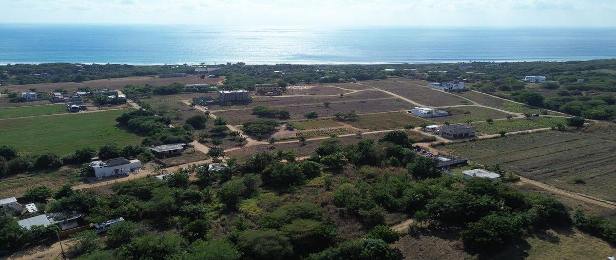 Foto de terreno habitacional en venta en avenida de la santisima cruz del mar , brisas de zicatela, santa maría colotepec, oaxaca, 0 No. 04