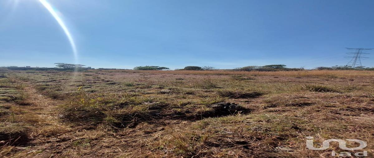 Foto de terreno habitacional en avenida de las flores 119, tlayacapan centro, tlayacapan, morelos, 28724693 foto 05 Foto de terreno habitacional en venta en avenida de las flores 119, tlayacapan centro, tlayacapan, morelos, 28724693 No. 05