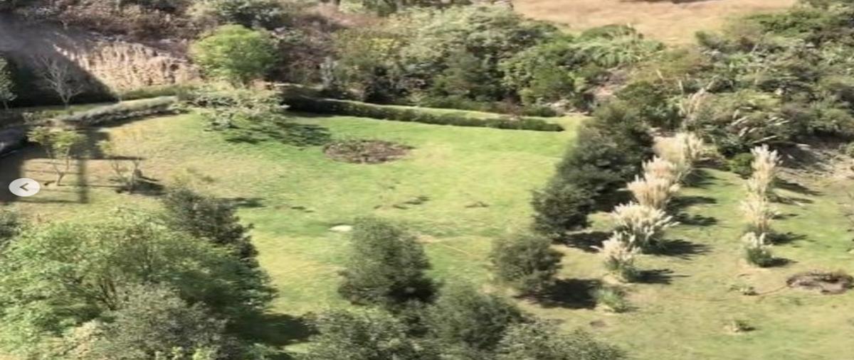 Foto de terreno industrial en venta en avenida de las flores , lomas country club, huixquilucan, méxico, 29992959 No. 06