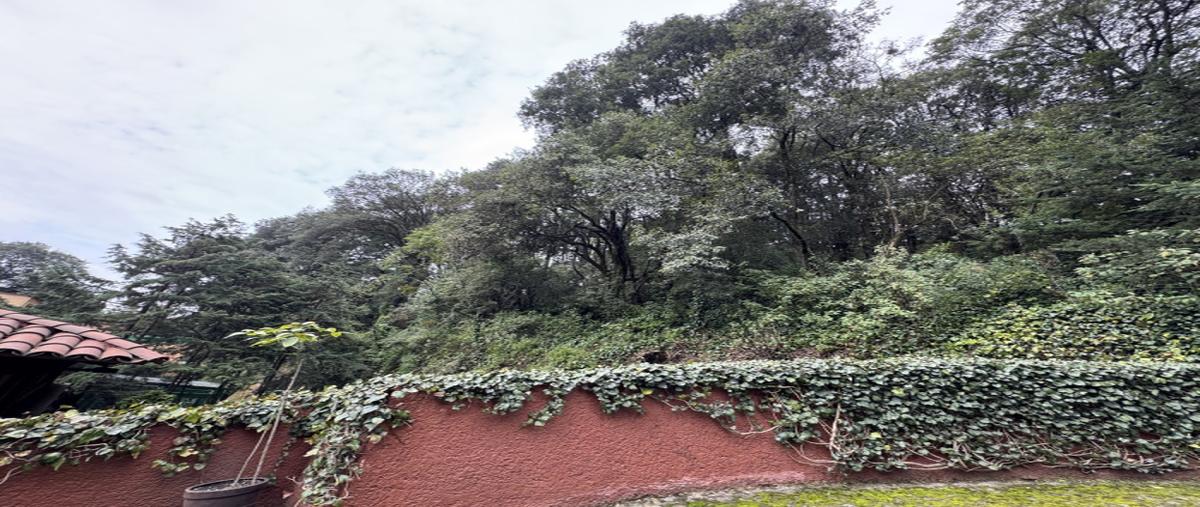 Foto de casa en condominio en venta en avenida de las flores , san lorenzo acopilco, cuajimalpa de morelos, df / cdmx, 30342505 No. 05
