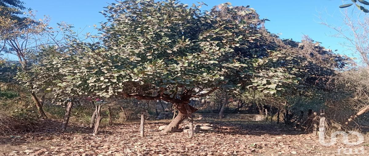 Foto de terreno habitacional en avenida de las garzas , campestre las cañadas ii, puerto vallarta, jalisco, 0 foto 01 Foto de terreno habitacional en venta en avenida de las garzas , campestre las cañadas ii, puerto vallarta, jalisco, 0 No. 01