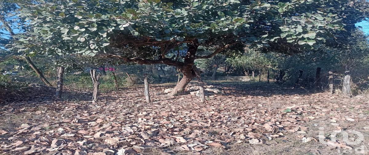 Foto de terreno habitacional en avenida de las garzas , campestre las cañadas ii, puerto vallarta, jalisco, 0 foto 02 Foto de terreno habitacional en venta en avenida de las garzas , campestre las cañadas ii, puerto vallarta, jalisco, 0 No. 02