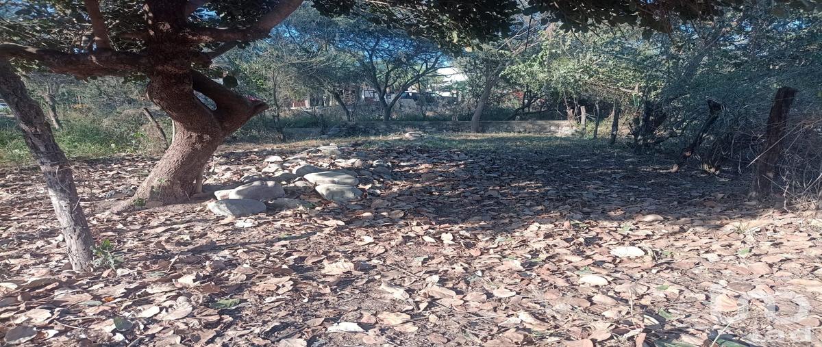 Foto de terreno habitacional en avenida de las garzas , campestre las cañadas ii, puerto vallarta, jalisco, 0 foto 03 Foto de terreno habitacional en venta en avenida de las garzas , campestre las cañadas ii, puerto vallarta, jalisco, 0 No. 03