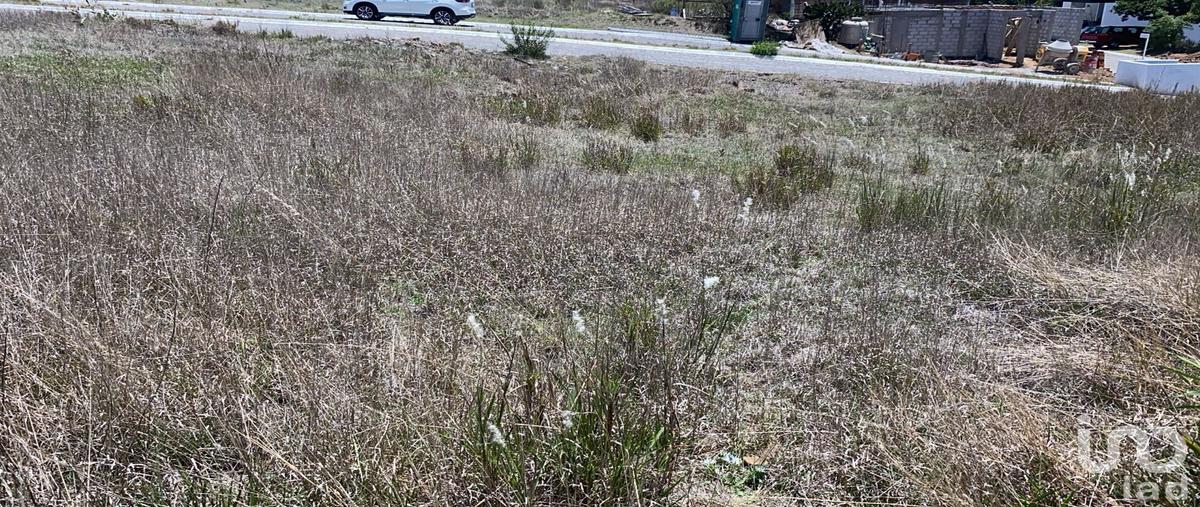 Foto de terreno comercial en venta en avenida de las haras 1116, campestre haras, amozoc, puebla, 31121111 No. 03