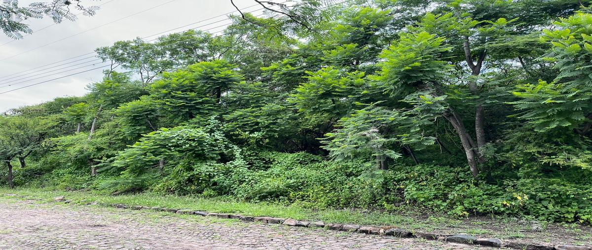 Foto de terreno habitacional en venta en avenida de las huertas , campestre huertas la joya, querétaro, querétaro, 31717317 No. 05