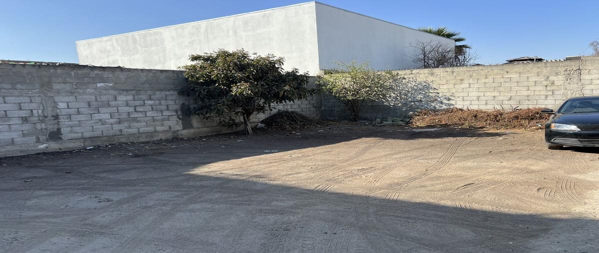 Foto de terreno habitacional en renta en avenida de las lomas , buena vista, tijuana, baja california, 28785630 No. 02