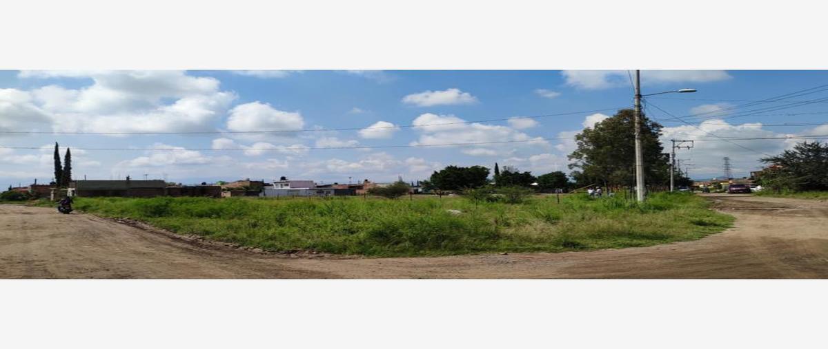 Foto de terreno habitacional en venta en avenida de las rosas , alameda, tlajomulco de zúñiga, jalisco, 28154205 No. 04