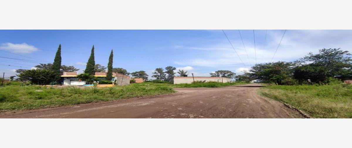 Foto de terreno habitacional en venta en avenida de las rosas , alameda, tlajomulco de zúñiga, jalisco, 28154205 No. 05