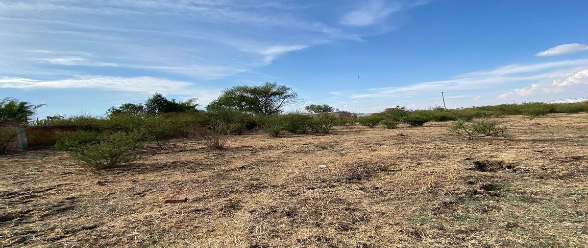 Foto de terreno habitacional en venta en avenida de los arcos , balcones de la calera, tlajomulco de zúñiga, jalisco, 0 No. 05