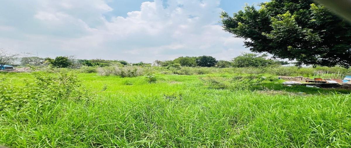 Foto de terreno habitacional en venta en avenida de los artesanos , lomas del 4, san pedro tlaquepaque, jalisco, 28376145 No. 03
