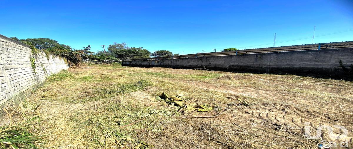 Foto de terreno comercial en renta en avenida de los insurgentes 672, villa san ángel, tepic, nayarit, 30106914 No. 05