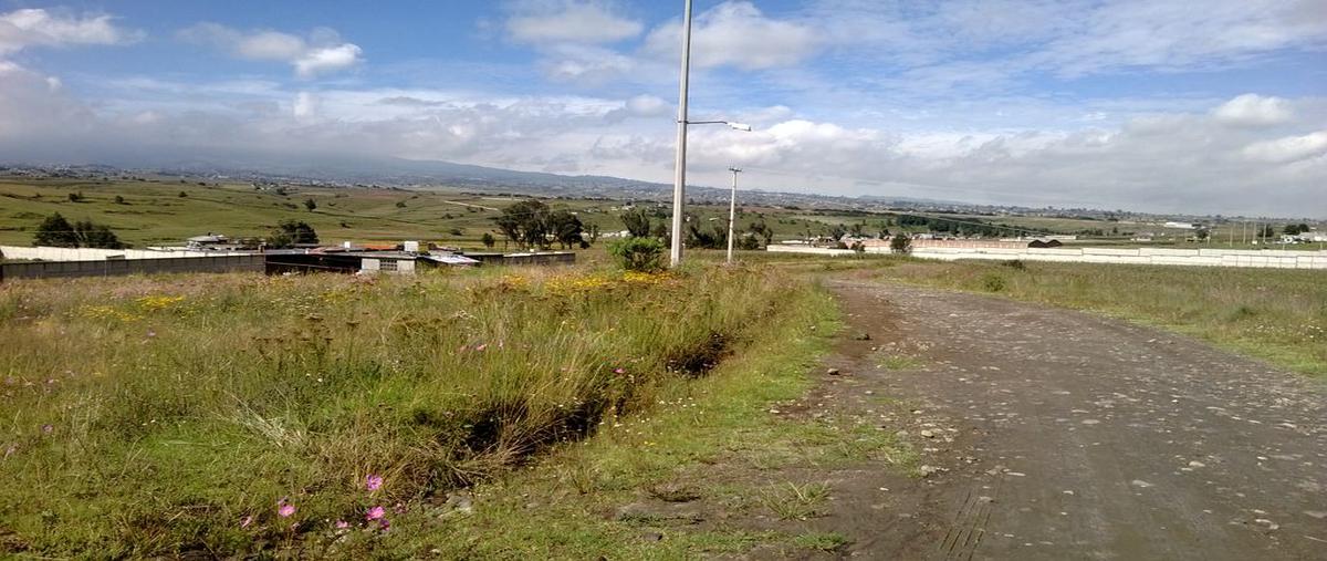 Foto de terreno habitacional en avenida de los pinos , el tepetatal, almoloya de juárez, méxico, 21076203 foto 01 Foto de terreno habitacional en venta en avenida de los pinos , el tepetatal, almoloya de juárez, méxico, 21076203 No. 01