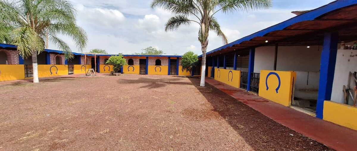 Foto de rancho en venta en avenida de los pinos , jardines de la calera, tlajomulco de zúñiga, jalisco, 0 No. 05