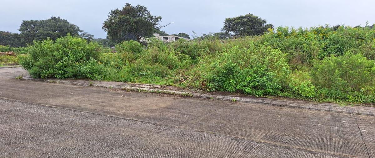 Foto de terreno habitacional en venta en avenida de los pinos , juventino rosas, pátzcuaro, michoacán de ocampo, 0 No. 03