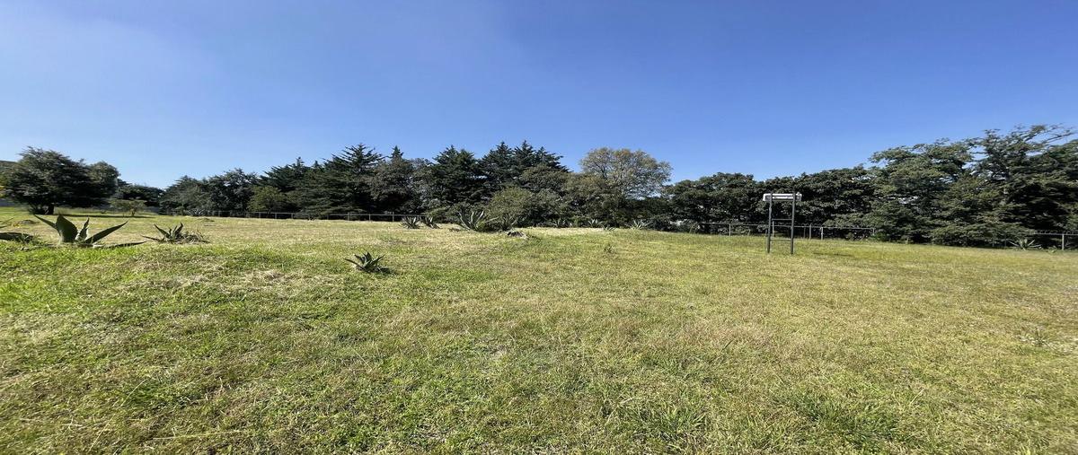 Foto de terreno habitacional en venta en avenida de los poetas , san mateo tlaltenango, cuajimalpa de morelos, df / cdmx, 28795931 No. 05