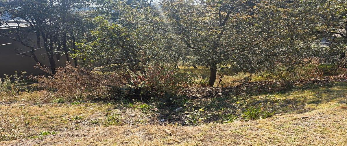 Foto de terreno habitacional en venta en avenida de los poetas , san mateo tlaltenango, cuajimalpa de morelos, df / cdmx, 30624422 No. 04