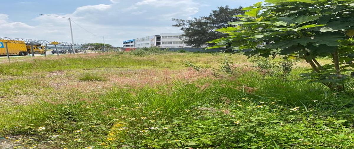 Foto de terreno comercial en renta en avenida del bajío 396, el bajío, zapopan, jalisco, 0 No. 05